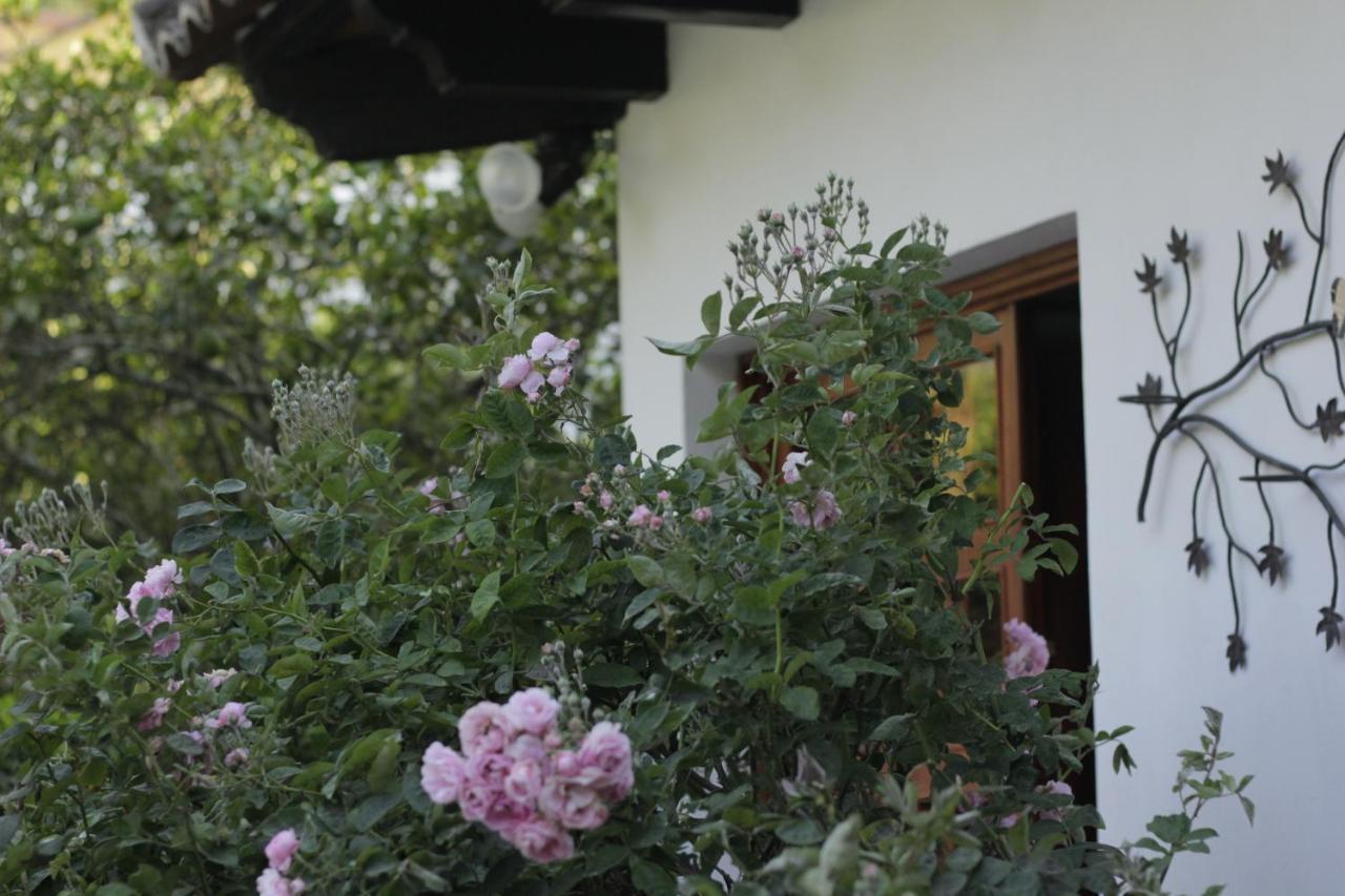 אנטיגואה גואטמלה Hotel Y Jardines Casa Buho מראה חיצוני תמונה
