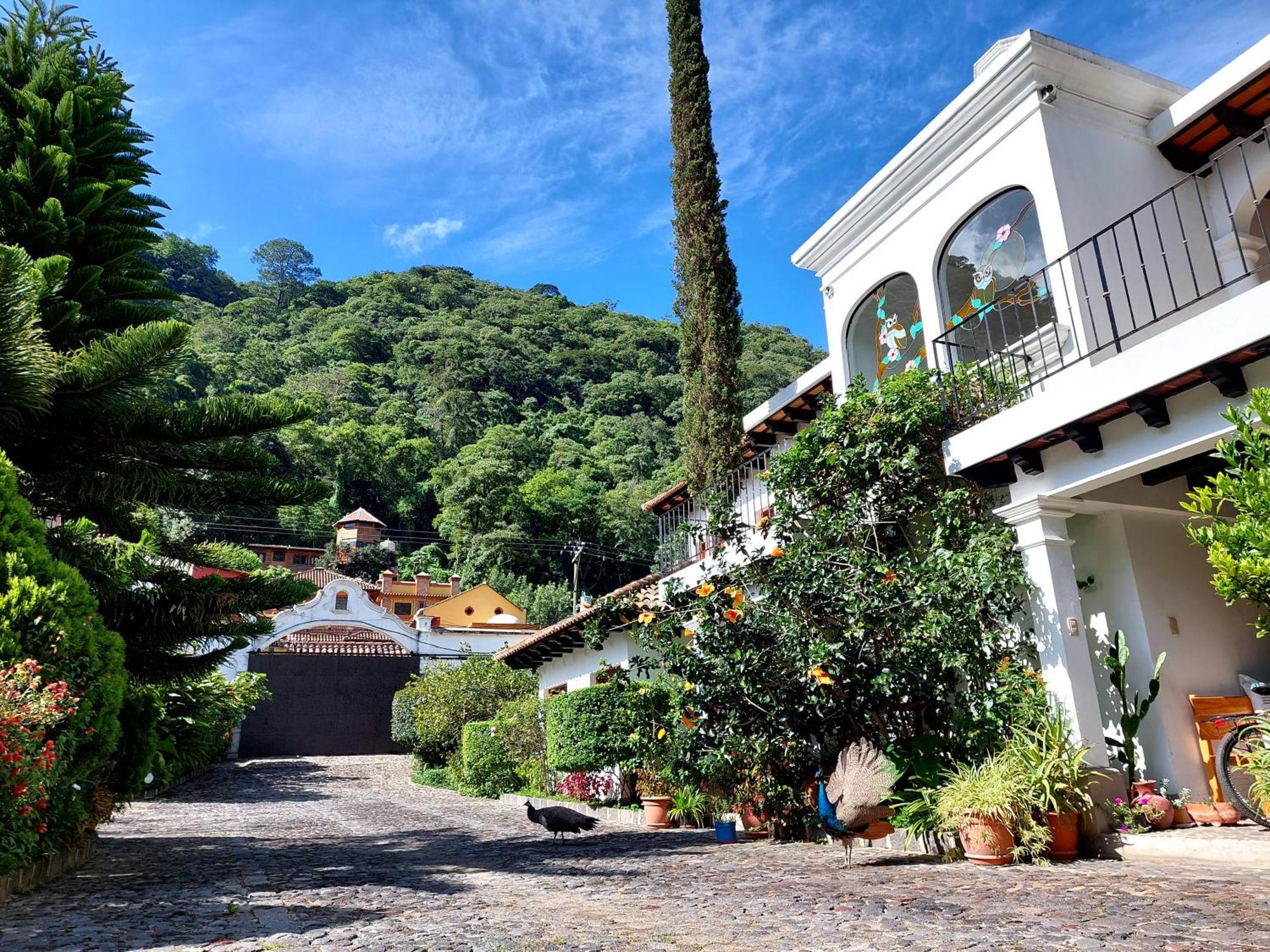 אנטיגואה גואטמלה Hotel Y Jardines Casa Buho מראה חיצוני תמונה